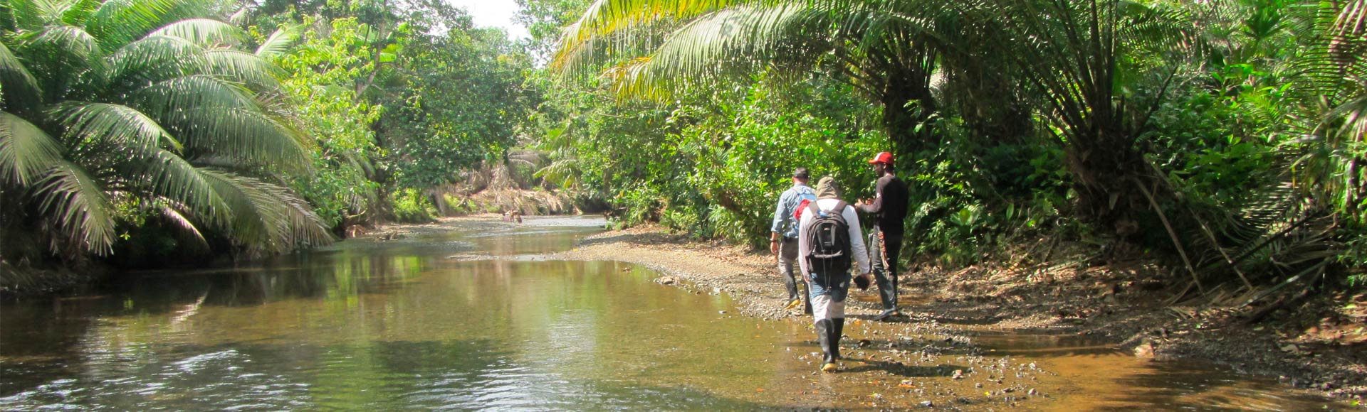 expedicion botanica colombia selvas choco ignacio solano