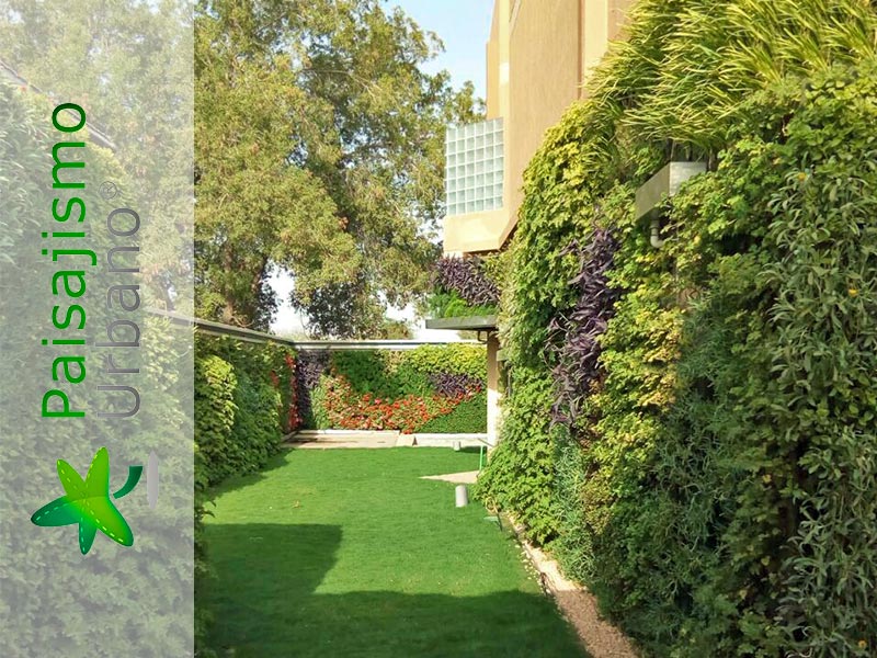 categoria jardines verticales arabia residencia privada