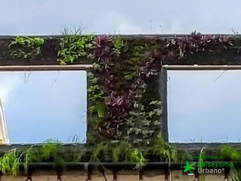 jardín vertical con el sistema de paisajismo urbano