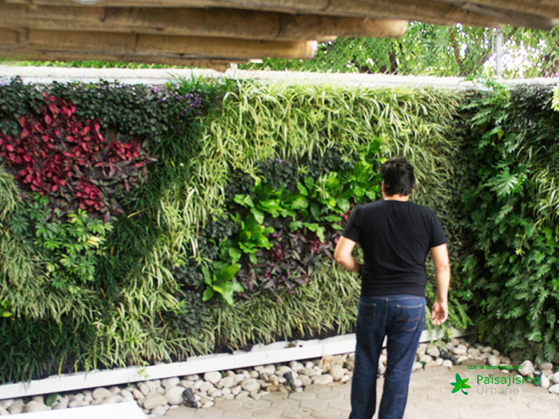 jardin vertical realizado con la tecnología de paisajismo urbano
