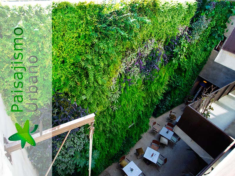 categoria jardin vertical hotel kook tarifa