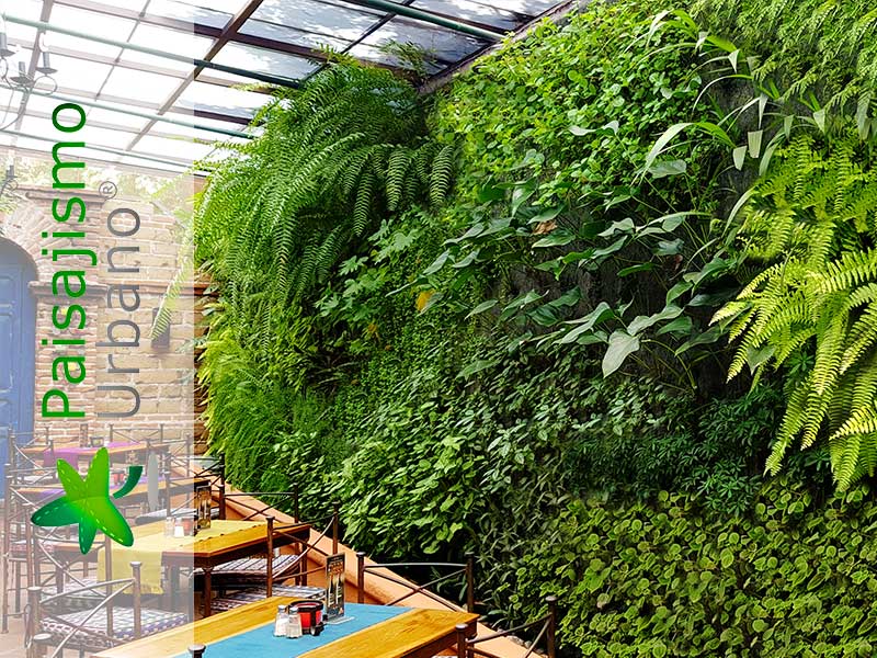 categoria jardines verticales guatemala restaurante hacienda real