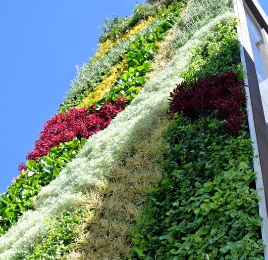 fachadas vegetales paisajismo urbano