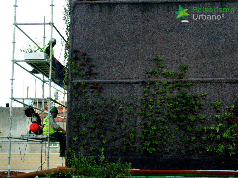 instalación de jardín vertical en madrid por paisajismo urbano