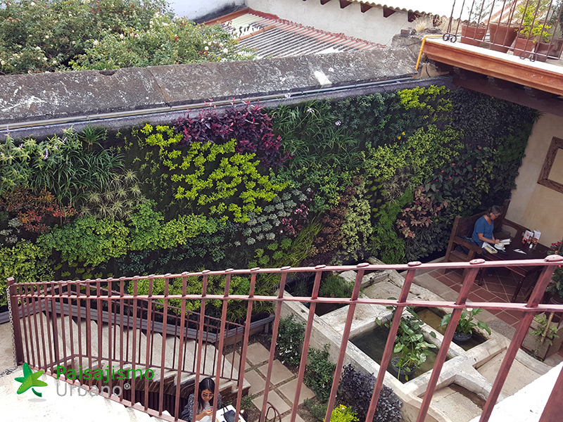 jardin vertical guatemala
