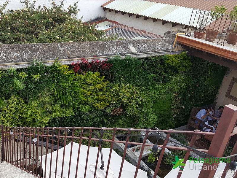 img-jardin-vertical-restaurante-antigua-guatemala-16