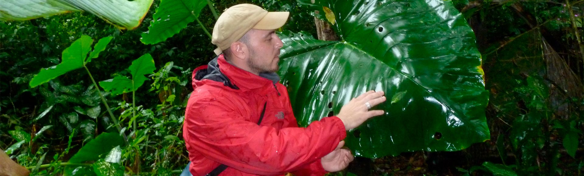 investigacion botanica colombia selva chicaque