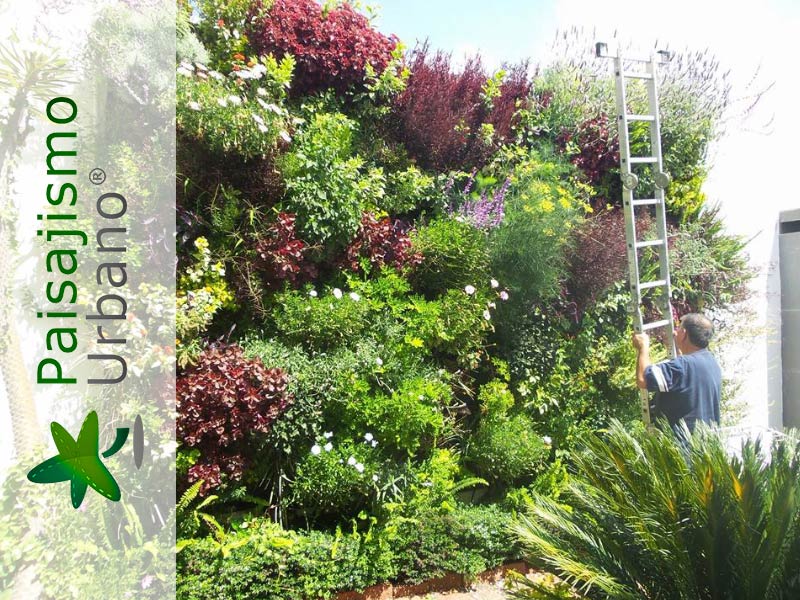 jardines verticales con la tecnología de paisajismo urbano