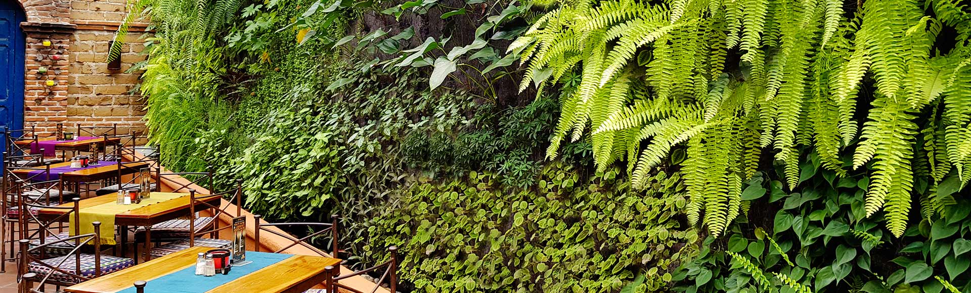portada jardines verticales guatemala restaurante hacienda real