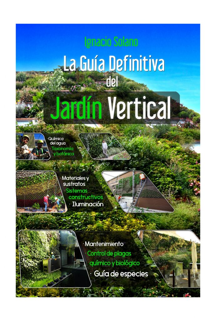 La Guía Definitiva del Jardín Vertical