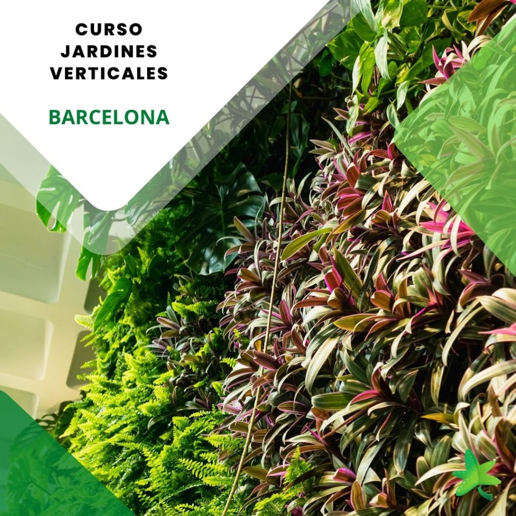 Curso jardines verticales Barcelona