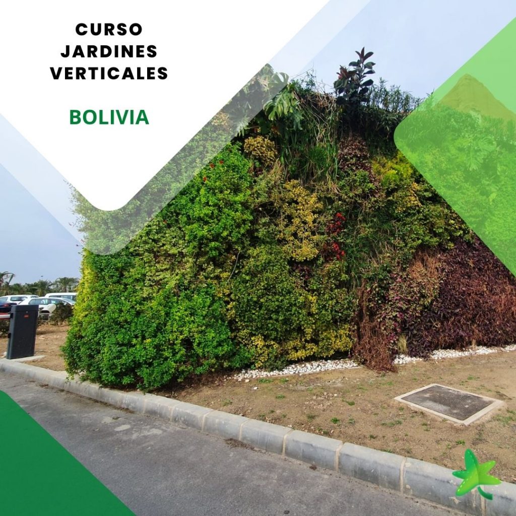 Curso jardines verticales Bolivia