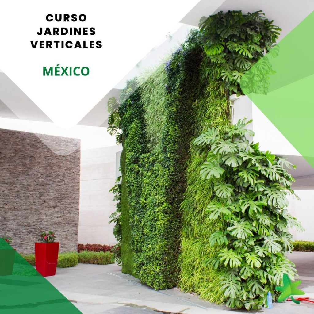 Curso jardines verticales México