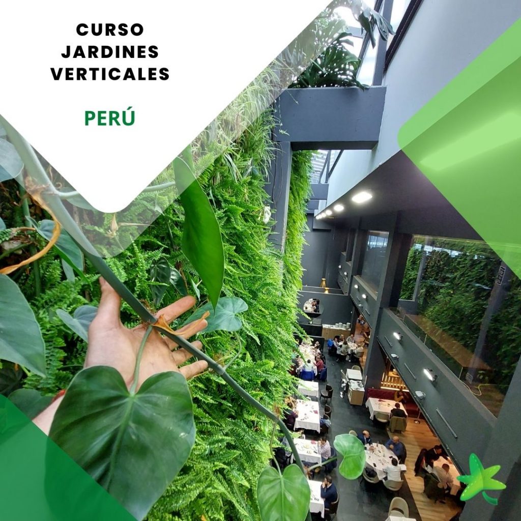 Curso jardines verticales Perú