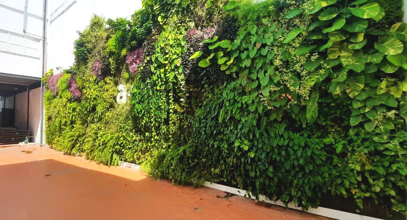 La Habana estrena jardín vertical de 130 metros cuadrados
