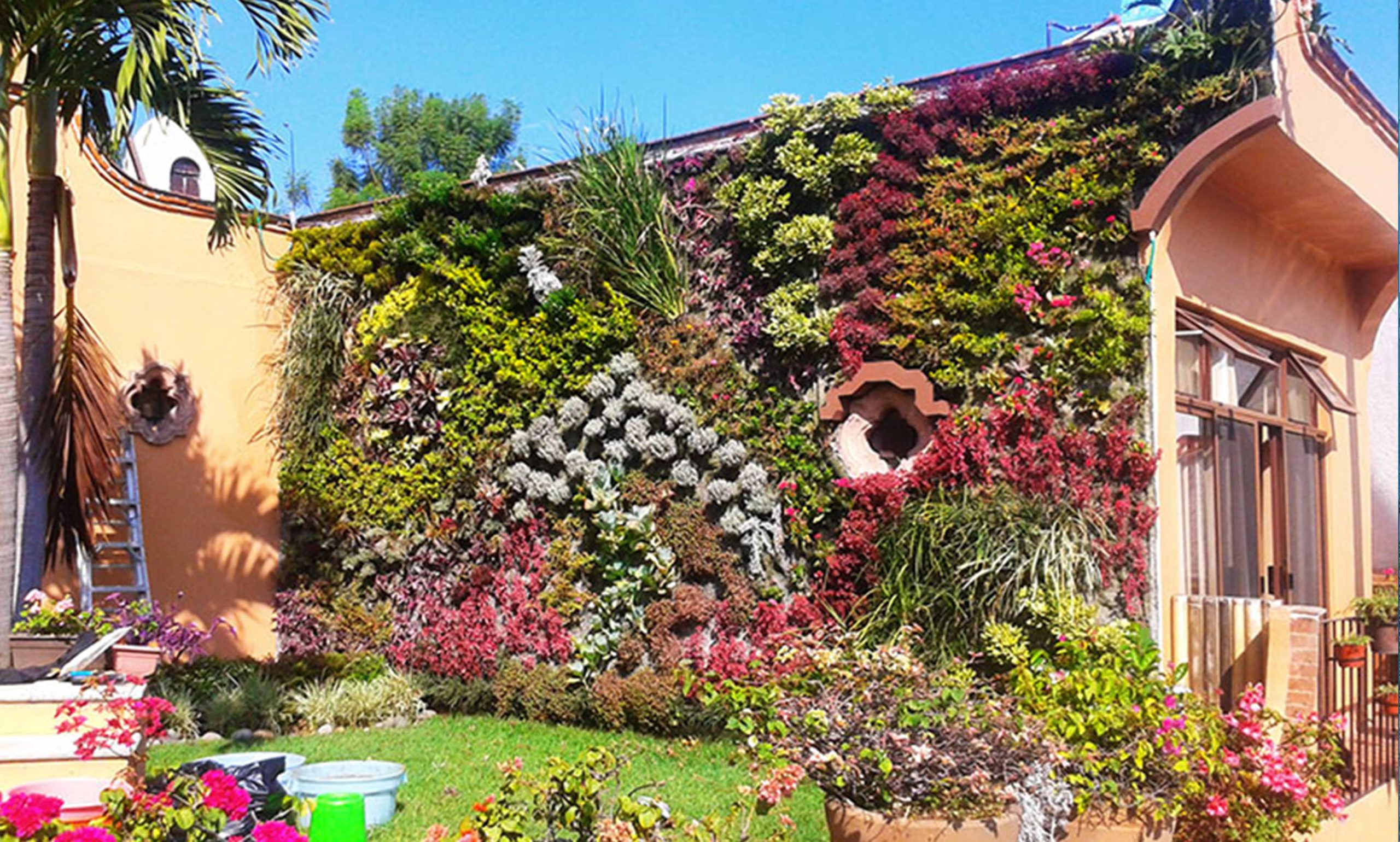 Curso de jardines verticales