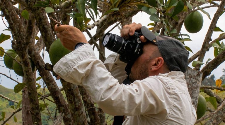 FOTOS NACHO MEJORADAS