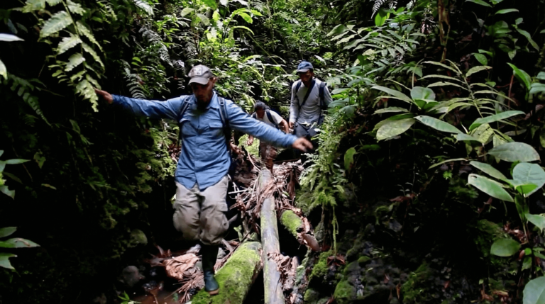 FOTOS NACHO MEJORADAS (5)