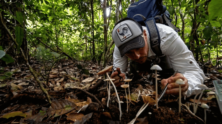 FOTOS NACHO MEJORADAS