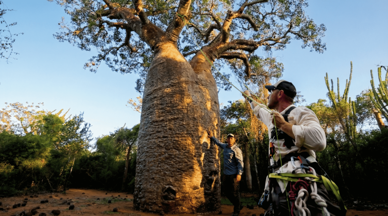 FOTOS NACHO MEJORADAS (9)