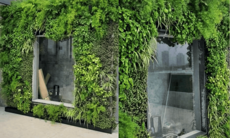 Rafael Carvalho – Brasil