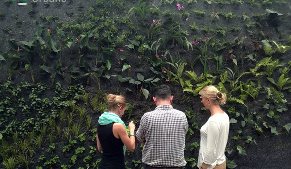 Equipo técnico analizando un jardín vertical durante una consultoría especializada