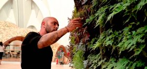 Ignacio Solano trabajando en un jardín vertical desarrollado por Paisajismo Urbano